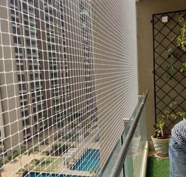 Pigeon Safety Nets in Vijayawada